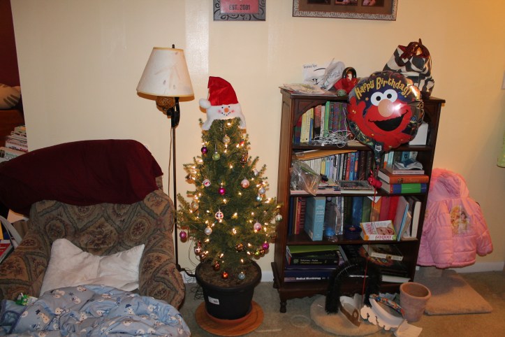 tiny christmas tree 2013