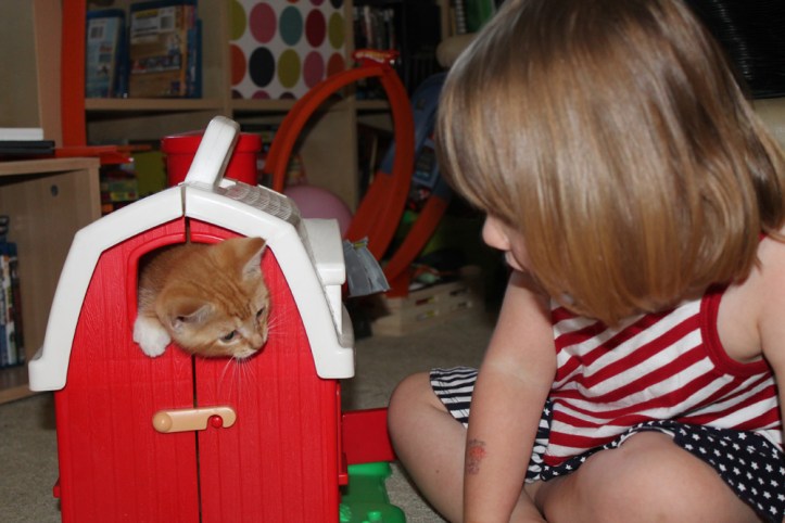 danny formerly annie in the fisher price farmhouse1